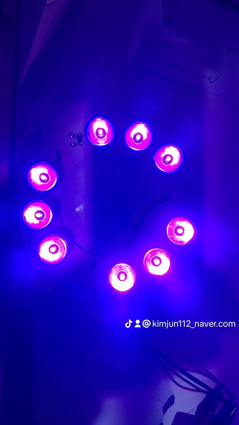 235149625_rlNhjfpA_38f51cfbae8edfcdeb219da7dc0e69368f044ca2.jpg 이미지크게보기